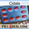 Cidala 06